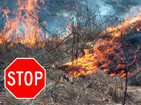 płonące trawy. znak stop