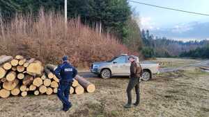 dzielnicowy i strażnik leśny na kontroli w lesie podczas akcji Lasów Państwowych pn. "Wieniec"